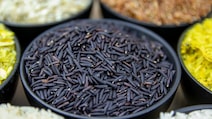 Beyond Basmati, 8 Indigenous Indian Rice Varieties Every Foodie Must Know