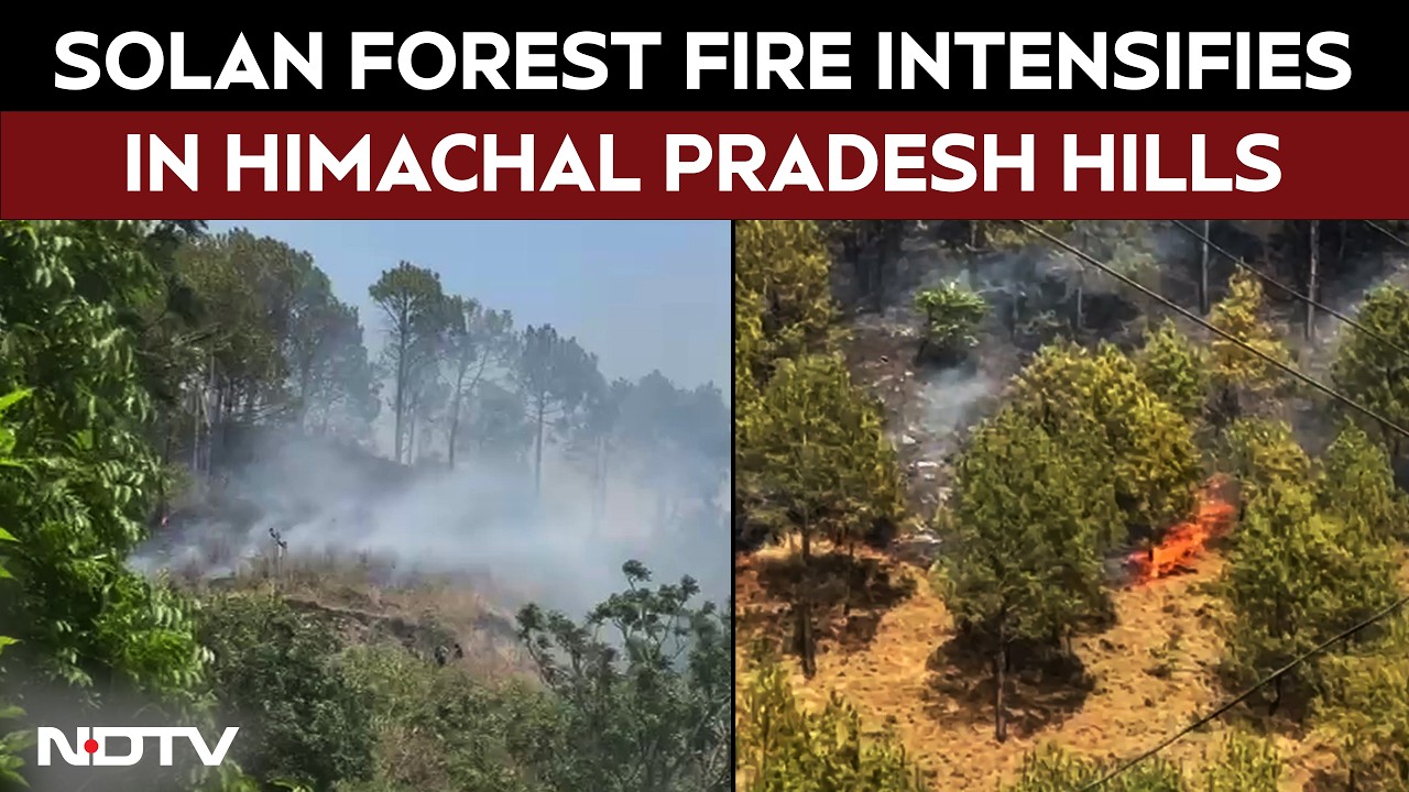 Himachal News | Forest Fires Rage in Himachal&rsquo;s Solan, Flames Spread Across Kandaghat&ndash;Sayri Belt