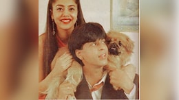 When Shah Rukh Khan Asked To Dig Up Pet's Grave At 2.30 am: 'Dead Or Alive, He Has To Be With Us'