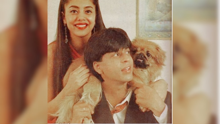 When Shah Rukh Khan Asked To Dig Up Pet's Grave At 2.30 am: 'Dead Or Alive, He Has To Be With Us'