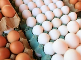 Should You Avoid Eggs In Summer? No, But Follow These Precautions