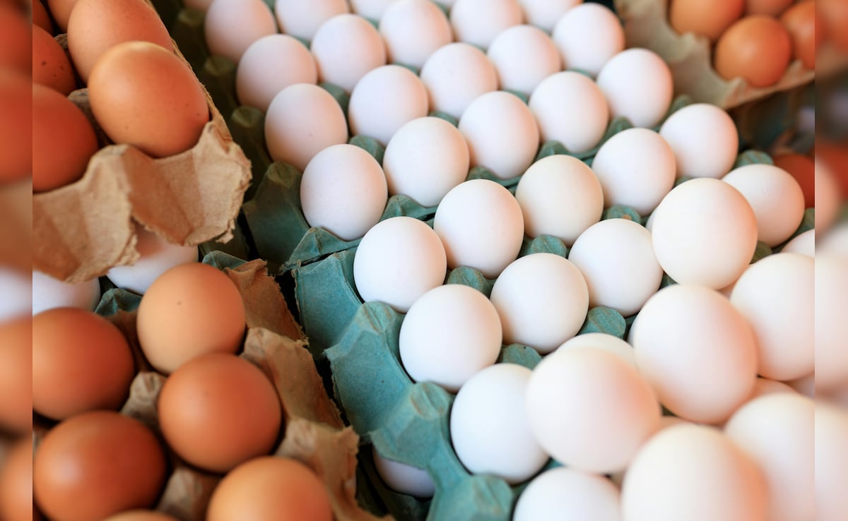Egg Benefits In Summer: गर्मियों में अंडे खाने के 7 जबरदस्त फायदे, जानकर हैरान रह जाएंगे आप