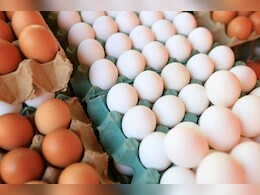 Egg Benefits In Summer: गर्मियों में अंडे खाने के 7 जबरदस्त फायदे, जानकर हैरान रह जाएंगे आप