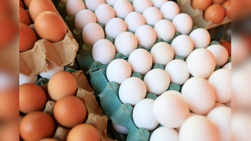 Egg Benefits In Summer: गर्मियों में अंडे खाने के 7 जबरदस्त फायदे, जानकर हैरान रह जाएंगे आप