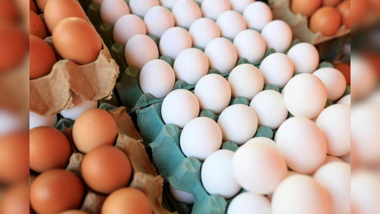 Egg Benefits In Summer: गर्मियों में अंडे खाने के 7 जबरदस्त फायदे, जानकर हैरान रह जाएंगे आप