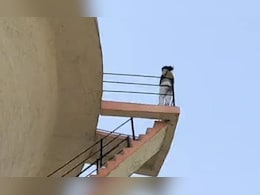 प्रयागराज में पानी की टंकी पर चढ़ी युवती, जमकर काटा हंगामा, जानें पूरा मामला