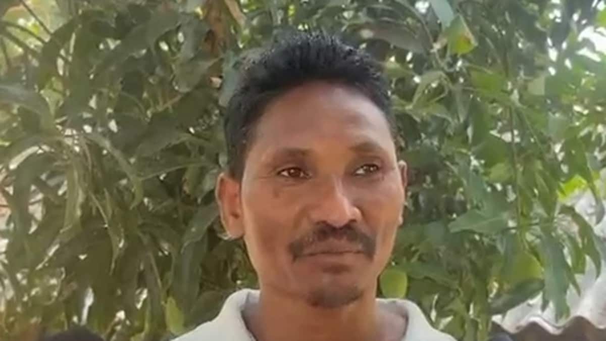sabse mahnga aam odisha malkangiri farmer grows worlds most expensive miyazaki mango sabse mahnga aam odisha malkangiri farmer grows worlds most expensive miyazaki mango
