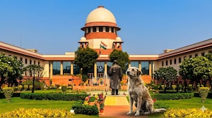 आवारा कुत्तों को लेकर सुप्रीम कोर्ट से आया बड़ा आदेश, डॉग लवर की होगी जिम्मेदारी