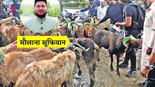 बकरीद में किन जानवरों की कु्र्बानी जायज नहीं, क्या हैं नियम? मौलाना ने दिया हर सवाल का जवाब