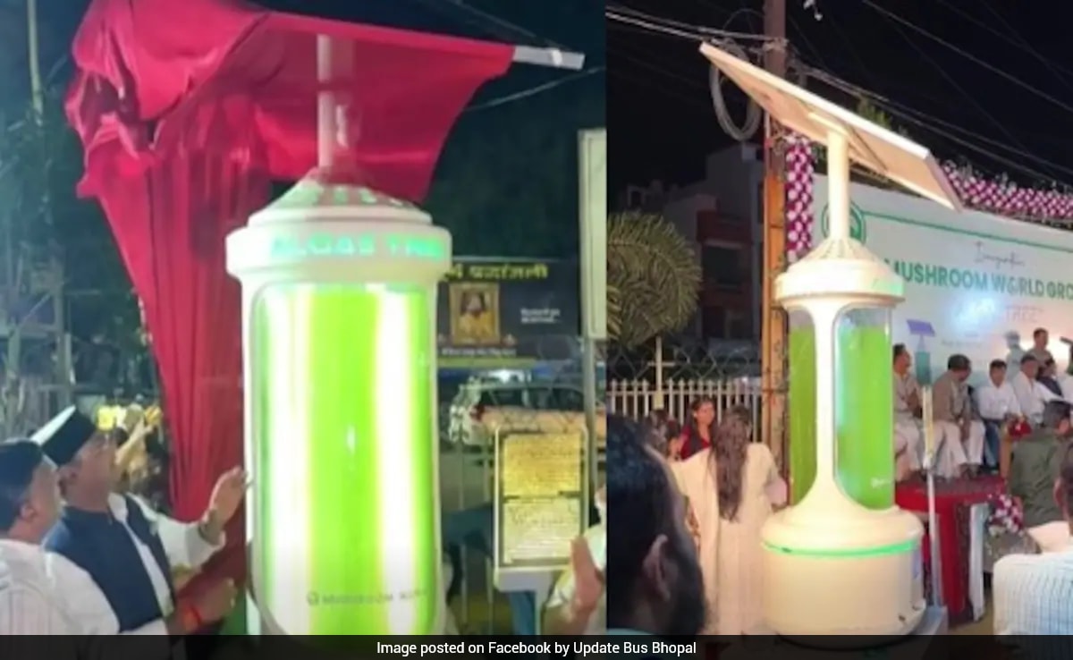 Bhopal Unveils Futuristic 'Algae Tree' That Can Absorb As Much CO2 As 25 Trees, Sparks Buzz