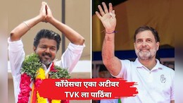 Tamil Nadu Election: थलपती विजयच्या TVK ला काँग्रेसचा पाठिंबा; मात्र ठेवली मोठी अट
