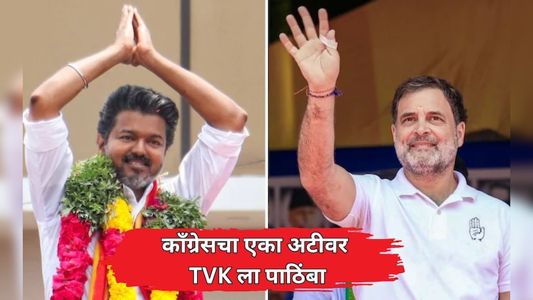 Tamil Nadu Election: थलपती विजयच्या TVK ला काँग्रेसचा पाठिंबा; मात्र ठेवली मोठी अट