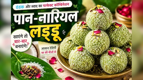Paan Nariyal Laddu Recipe: एक बार खाएंगे तो बार-बार बनाएंगे ये पान वाले लड्डू, मेहमान भी पूछेंगे रेसिपी