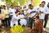 सीएम भजनलाल शर्मा ने डूंगरपुर जाते वक्त सड़क पर खरीदे आम, खुद भी खाया ग्रामीणों को भी खिलाया