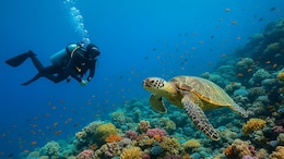 Which Is The Best Place For Scuba Diving In India?