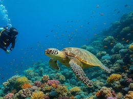 Which Is The Best Place For Scuba Diving In India?