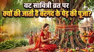 Vat Savitri Vrat 2026: वट सावित्री व्रत पर क्यों की जाती है बरगद के पेड़ की पूजा, जान लीजिए महत्व