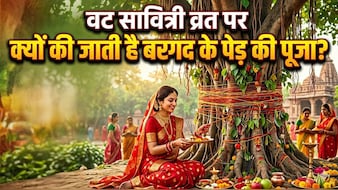 वट सावित्री व्रत पर क्यों की जाती है बरगद के पेड़ की पूजा, जान लीजिए महत्व