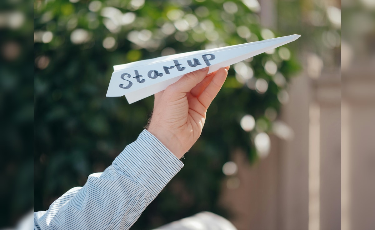 Higher Education के बाद करना है बिजनेस, Startup शुरू करने से पहले जानें ये बातें