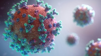 World Saw 22.1 Million Excess Deaths From All Causes During Covid-19 Pandemic: WHO
