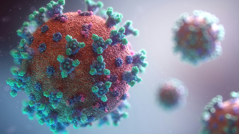 World Saw 22.1 Million Excess Deaths From All Causes During Covid-19 Pandemic: WHO