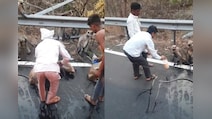 Thirsty Monkey Stops Moving Bus For Water In Maharashtra, Heartbreaking Video Goes Viral