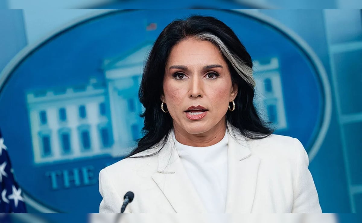 Tulsi Gabbard Resigns: तुलसी गबार्ड का इस्तीफा पर्सनल है या बात कुछ और है? क्यों ट्रंप पर ही उठने लगे हैं सवाल