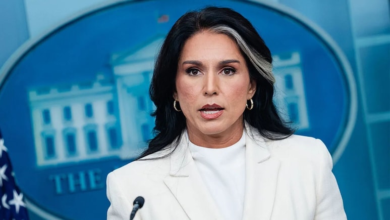 Tulsi Gabbard Resigns: तुलसी गबार्ड का इस्तीफा पर्सनल है या बात कुछ और है? क्यों ट्रंप पर ही उठने लगे हैं सवाल