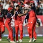 "Privileged To Have Them": RCB Stand-In Captains Big Comment On Bhuvneshwar Kumar, Josh Hazlewood