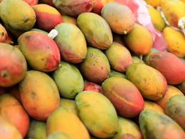 Which Indian Region Do The Famous Alphonso Mangoes Come From?