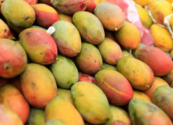 Which Indian Region Do The Famous Alphonso Mangoes Come From?