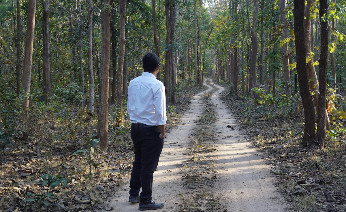 कैसे बन सकते हैं फॉरेस्‍ट ऑफिसर, क्‍या करनी होती है पढ़ाई