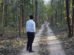 कैसे बन सकते हैं फॉरेस्‍ट ऑफिसर, क्‍या करनी होती है पढ़ाई