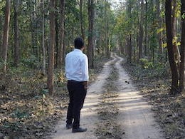 कैसे बन सकते हैं फॉरेस्&zwj;ट ऑफिसर, क्&zwj;या करनी होती है पढ़ाई