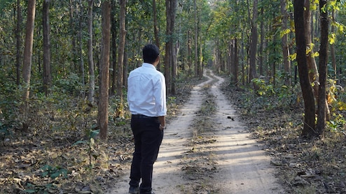 कैसे बन सकते हैं फॉरेस्&zwj;ट ऑफिसर, क्&zwj;या करनी होती है पढ़ाई