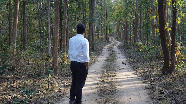 कैसे बन सकते हैं फॉरेस्&zwj;ट ऑफिसर, क्&zwj;या करनी होती है पढ़ाई