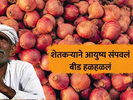 Beed News: डोक्यावर कर्ज, कांद्याने रडवलं अन् मराठा आंदोलनात गुन्हा; बीडमधील शेतकऱ्याने मृत्यूला कवटाळलं