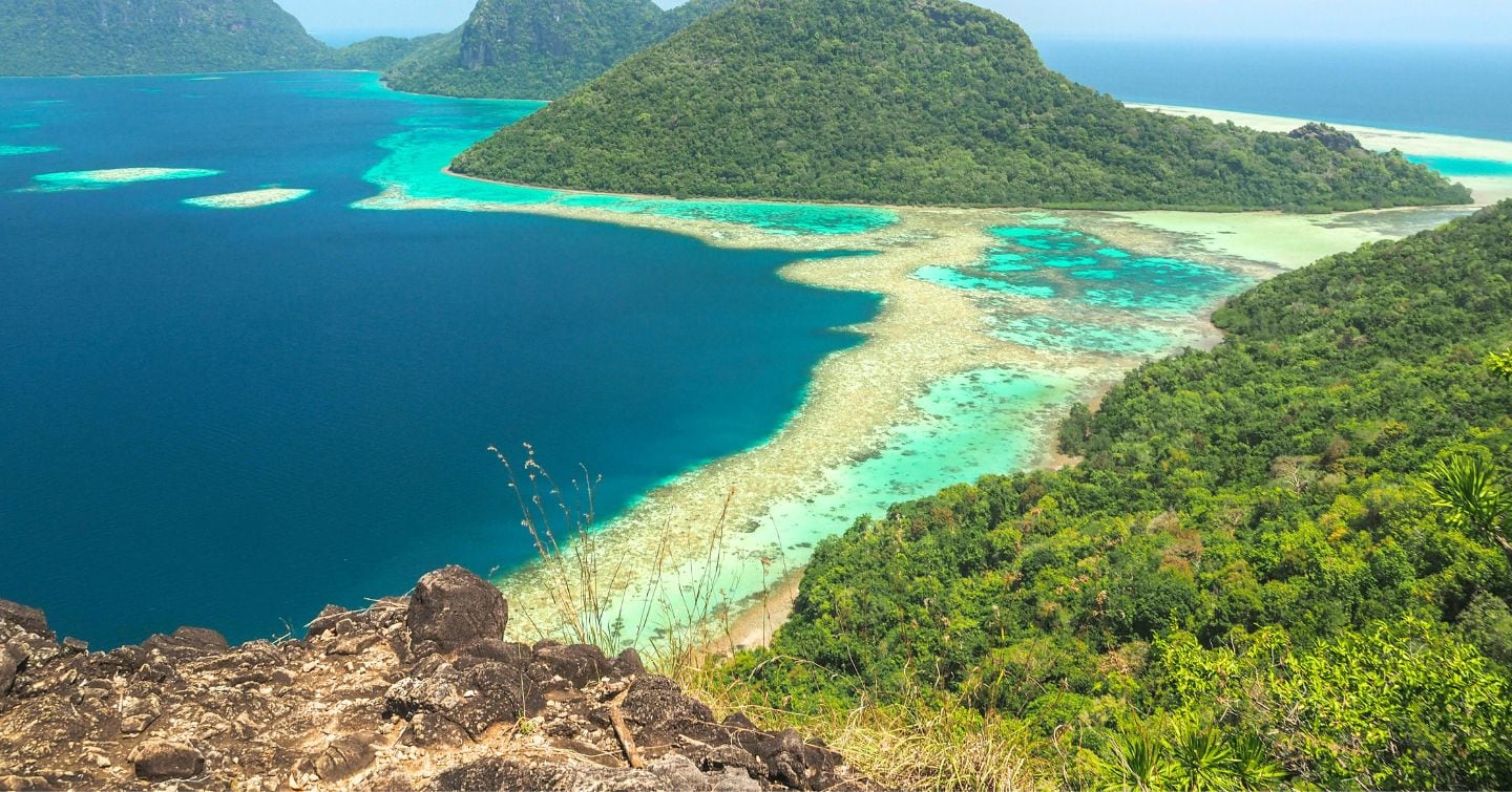 Why Borneo Should Be Your Next Wildlife Destination