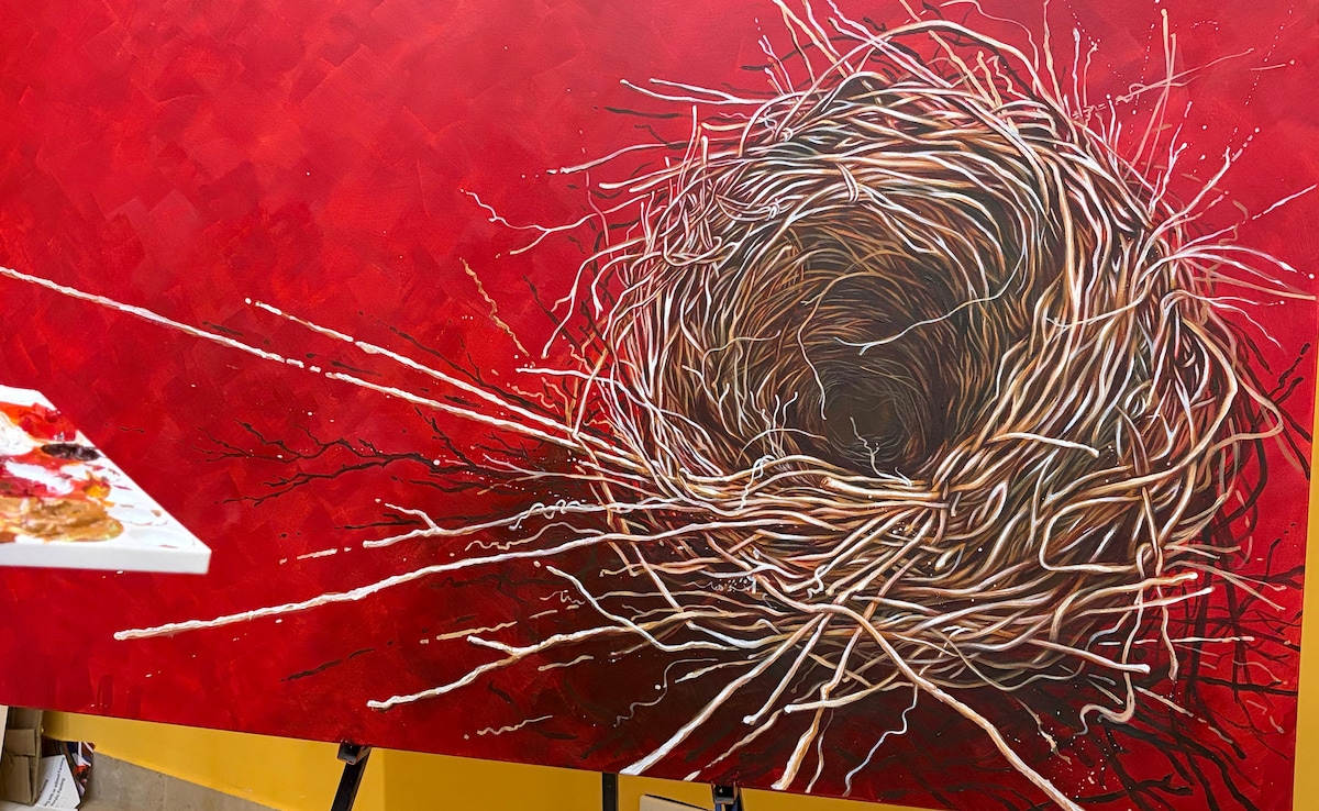 I could never imagine there could be so much beauty in a nest