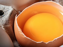Should You Avoid Egg Yolks If You Have High Cholesterol? Expert Reveals The Truth