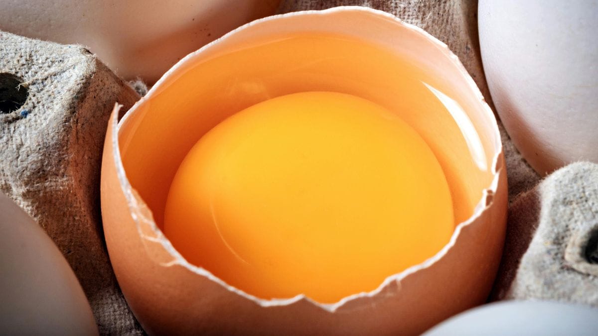 Should You Avoid Egg Yolks If You Have High Cholesterol? Expert Reveals The Truth