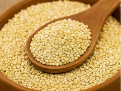 Oats vs Quinoa: Which Food Gives You More Protein?