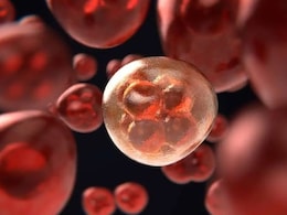Killing Cancer Requires Immune Cells To Infiltrate Tumours' Hostile Microenvironment - Sugar Shields Can Help Them Break In