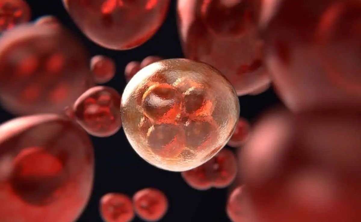 Cancer is a tightly controlled cellular neighborhood that can keep the body's defenses out or weaken them