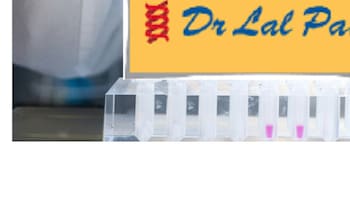 Dr Lal PathLabs Q1 Result: Net Profit Jumps 29% YoY, Revenue Rises 19%; Announces Rs 5 Interim Dividend