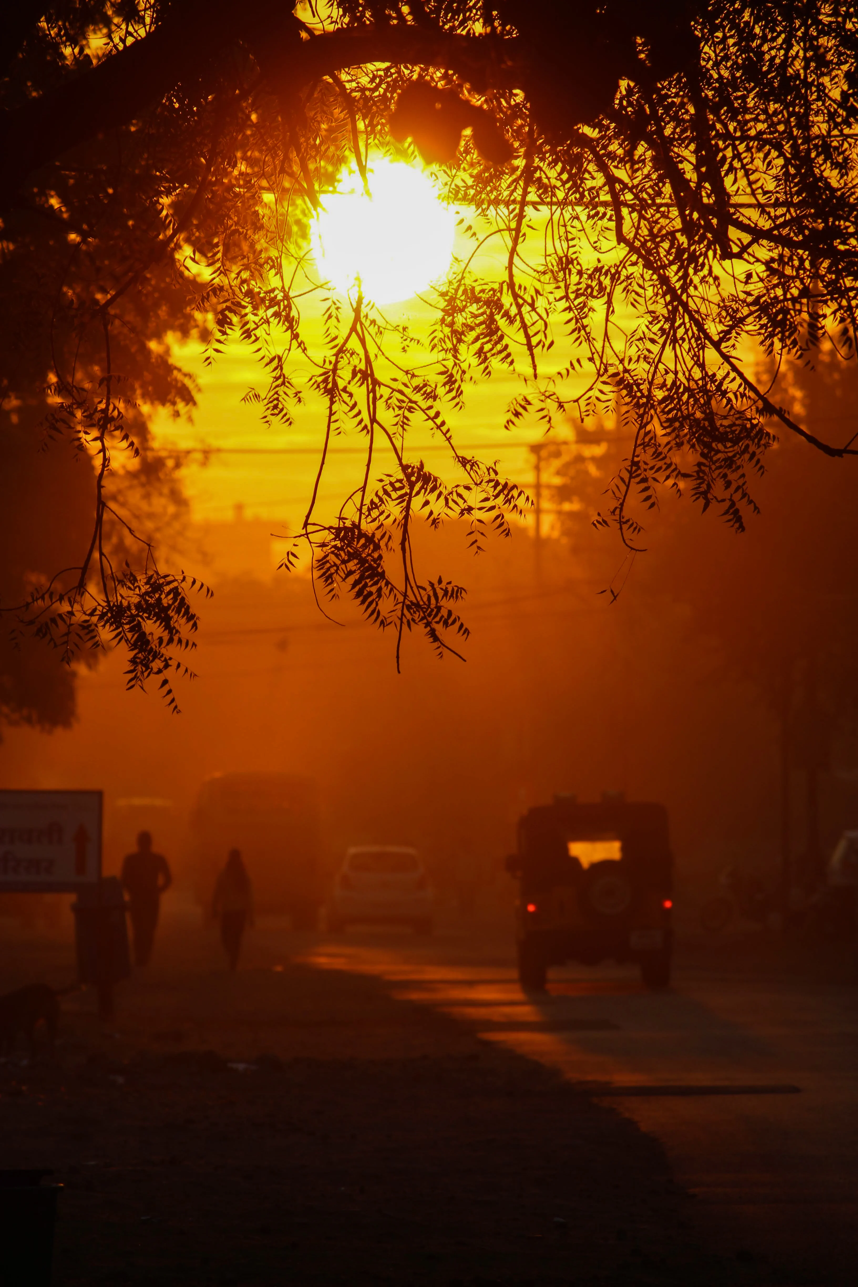 World Witnessed Second-Hottest May On Record: EU's Climate Monitor