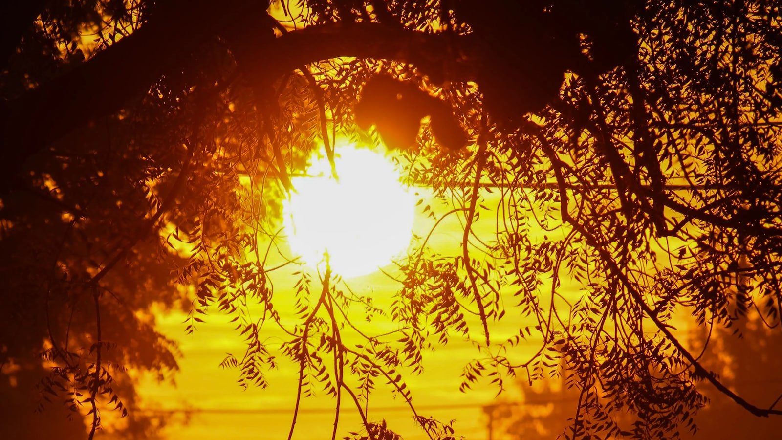 World Witnessed Second-Hottest May On Record: EU's Climate Monitor