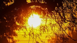 World Witnessed Second-Hottest May On Record: EU's Climate Monitor