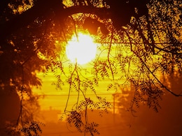 World Witnessed Second-Hottest May On Record: EU's Climate Monitor