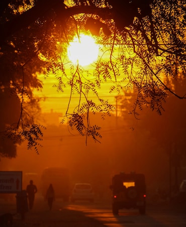 Simple Ways To Stay Safe In Heatwaves